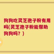 狗狗吃灵芝孢子粉有用吗(灵芝孢子粉能帮助狗狗吗？)