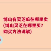 博山有灵芝嘛在哪里卖(博山灵芝在哪里买？购买方法详解)