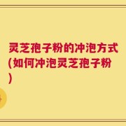 灵芝孢子粉的冲泡方式(如何冲泡灵芝孢子粉)