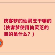 侠客梦的仙灵芝干嘛的(侠客梦使用仙灵芝的目的是什么？)