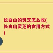 长白山的灵芝怎么吃(长白山灵芝的食用方式)