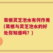 葛根灵芝泡水有何作用(葛根与灵芝泡水的好处你知道吗？)