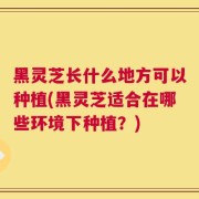黑灵芝长什么地方可以种植(黑灵芝适合在哪些环境下种植？)