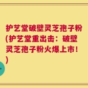 护艺堂破壁灵芝孢子粉(护艺堂重出击：破壁灵芝孢子粉火爆上市！)