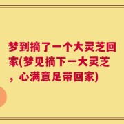 梦到摘了一个大灵芝回家(梦见摘下一大灵芝，心满意足带回家)