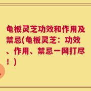 龟板灵芝功效和作用及禁忌(龟板灵芝：功效、作用、禁忌一网打尽！)