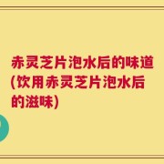 赤灵芝片泡水后的味道(饮用赤灵芝片泡水后的滋味)