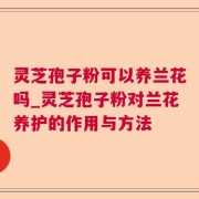 灵芝孢子粉可以养兰花吗_灵芝孢子粉对兰花养护的作用与方法