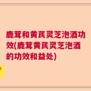 鹿茸和黄芪灵芝泡酒功效(鹿茸黄芪灵芝泡酒的功效和益处)