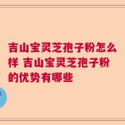 吉山宝灵芝孢子粉怎么样 吉山宝灵芝孢子粉的优势有哪些