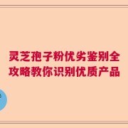 灵芝孢子粉优劣鉴别全攻略教你识别优质产品