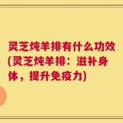 灵芝炖羊排有什么功效(灵芝炖羊排：滋补身体，提升免疫力)