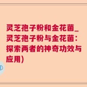 灵芝孢子粉和金花菌_灵芝孢子粉与金花菌:探索两者的神奇功效与应用)