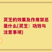 灵芝的效果及作用禁忌是什么(灵芝：功效与注意事项)