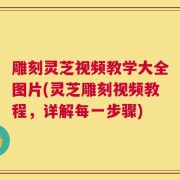 雕刻灵芝视频教学大全图片(灵芝雕刻视频教程，详解每一步骤)