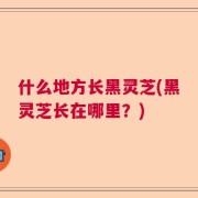 什么地方长黑灵芝(黑灵芝长在哪里？)