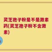 灵芝孢子粉是不是激素药(灵芝孢子粉不含激素)