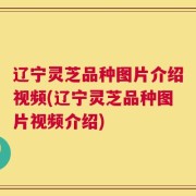 辽宁灵芝品种图片介绍视频(辽宁灵芝品种图片视频介绍)