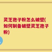 灵芝孢子粉怎么破壁(如何制备破壁灵芝孢子粉)