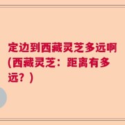 定边到西藏灵芝多远啊(西藏灵芝：距离有多远？)