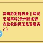 贵州黔兆源农业収购灵芝是真吗(贵州黔兆源农业收购灵芝是否属实？)