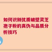 如何识别优质破壁灵芝孢子粉的真伪与品质分析技巧