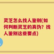灵芝怎么找人鉴别(如何判断灵芝的真伪？找人鉴别这些要点)