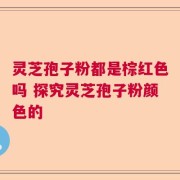 灵芝孢子粉都是棕红色吗 探究灵芝孢子粉颜色的