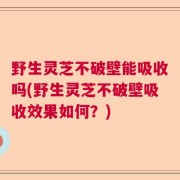 野生灵芝不破壁能吸收吗(野生灵芝不破壁吸收效果如何?)