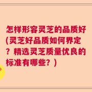 怎样形容灵芝的品质好(灵芝好品质如何界定？精选灵芝质量优良的标准有哪些？)