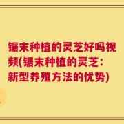 锯末种植的灵芝好吗视频(锯末种植的灵芝：新型养殖方法的优势)