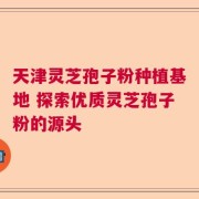天津灵芝孢子粉种植基地 探索优质灵芝孢子粉的源头