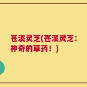 苍溪灵芝(苍溪灵芝：神奇的草药！)