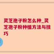 灵芝孢子粉怎么种_灵芝孢子粉种植方法与技巧