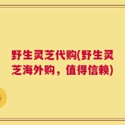 野生灵芝代购(野生灵芝海外购，值得信赖)