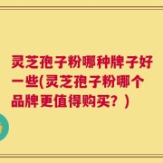 灵芝孢子粉哪种牌子好一些(灵芝孢子粉哪个品牌更值得购买？)