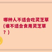 哪种人不适合吃灵芝草(谁不适合食用灵芝草？)