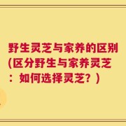 野生灵芝与家养的区别(区分野生与家养灵芝：如何选择灵芝？)