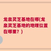 龙泉灵芝基地在哪(龙泉灵芝基地的地理位置在哪里？)