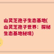 山灵芝孢子生态基地(山灵芝孢子世界：探秘生态基地秘境)