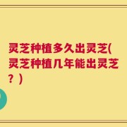 灵芝种植多久出灵芝(灵芝种植几年能出灵芝？)