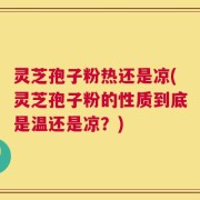 灵芝孢子粉热还是凉(灵芝孢子粉的性质到底是温还是凉？)