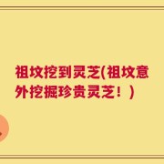 祖坟挖到灵芝(祖坟意外挖掘珍贵灵芝！)