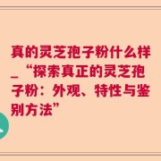 真的灵芝孢子粉什么样_“探索真正的灵芝孢子粉：外观、特性与鉴别方法”