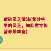 紫砂灵芝做法(紫砂杯里的灵芝，如此煮才能营养最丰富)