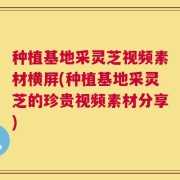 种植基地采灵芝视频素材横屏(种植基地采灵芝的珍贵视频素材分享)