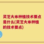 灵芝大米种植技术要点是什么(灵芝大米种植的技术要点)