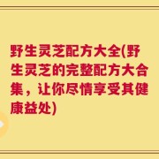 野生灵芝配方大全(野生灵芝的完整配方大合集，让你尽情享受其健康益处)