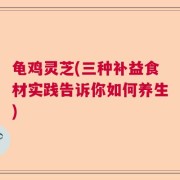 龟鸡灵芝(三种补益食材实践告诉你如何养生)