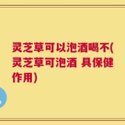 灵芝草可以泡酒喝不(灵芝草可泡酒 具保健作用)